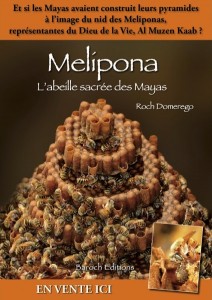 melipona-l-abeille-sacree-aux-yeux-bleus