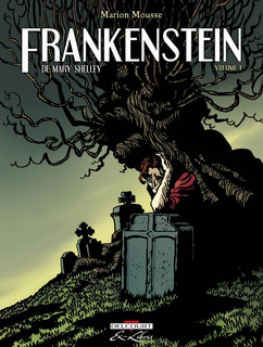 Frankenstein T1 (Mousse, Galopin) – Delcourt – 9,95€